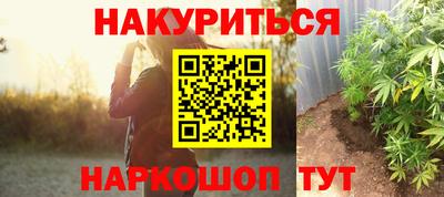 не бодяженный Кингисепп